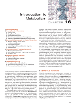 Biochemistry Steady State