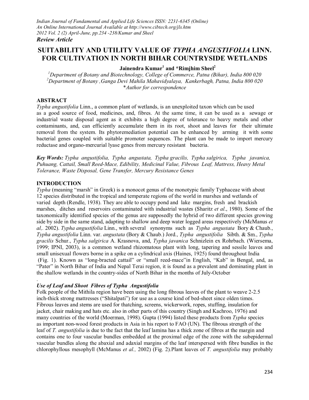 Suitability and Utility Value of Typha Angustifolia Linn. for Cultivation in North Bihar Countryside Wetlands