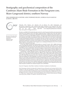 Stratigraphy and Geochemical Composition of the Cambrian Alum Shale Formation in the Porsgrunn Core, Skien–Langesund District, Southern Norway