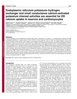 Endoplasmic Reticulum Potassium–Hydrogen Exchanger and Small