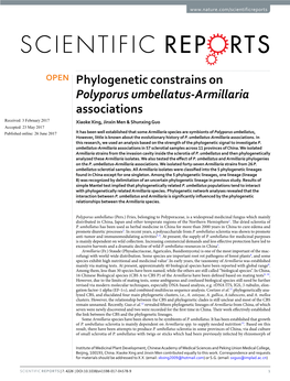 Phylogenetic Constrains on Polyporus Umbellatus-Armillaria Associations
