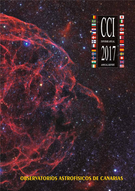 Informe Anual CCI 2017
