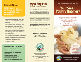 Best Management Practices for Your Small Poultry Hatchery