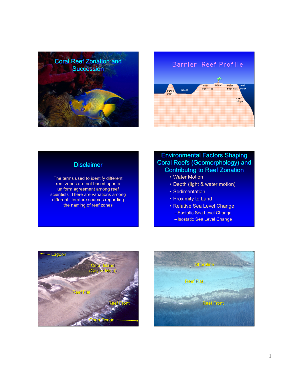 Coral Reef Zonation and Succession Barrier Reef Profile Disclaimer