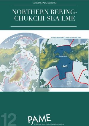 12 Northern Bering-Chukchi Sea