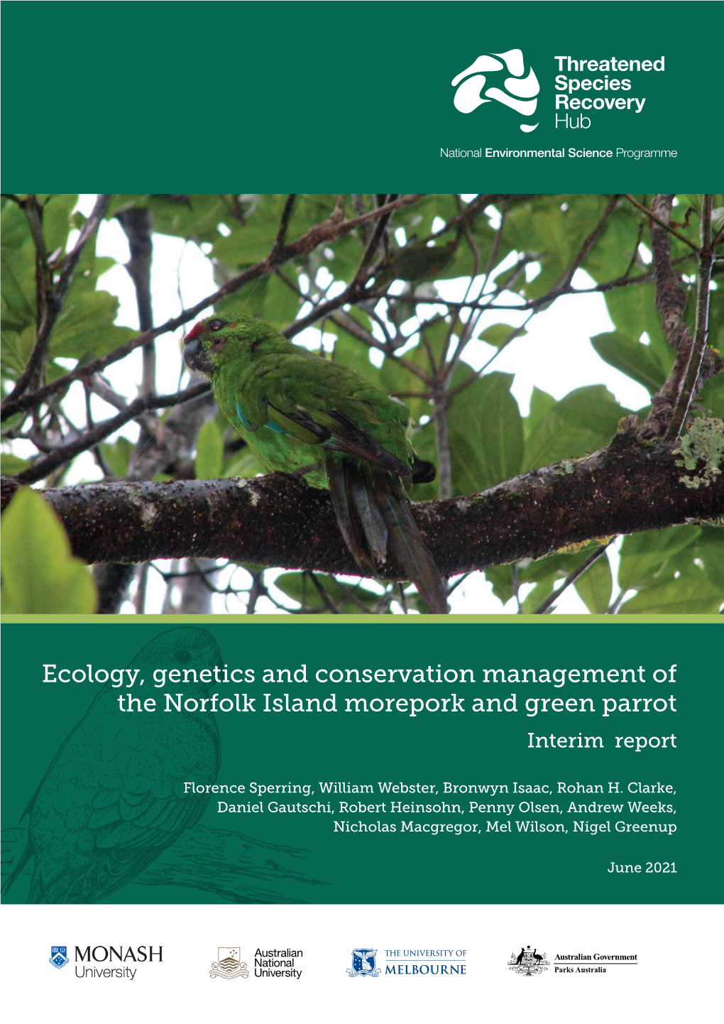 Ecology, Genetics and Conservation Management of the Norfolk Island Morepork and Green Parrot Interim Report