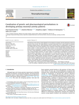 Canalization of Genetic and Pharmacological Perturbations in Developing Primary Neuronal Activity Patterns