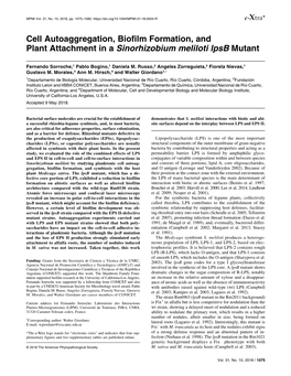 Cell Autoaggregation, Biofilm Formation, and Plant Attachment in a Sinorhizobium Meliloti Lpsb Mutant