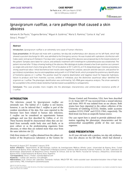 Ignavigranum Ruoffiae, a Rare Pathogen That Caused a Skin Abscess
