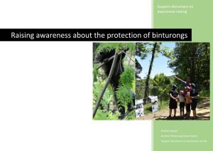 Raising Awareness About the Protection of Binturongs