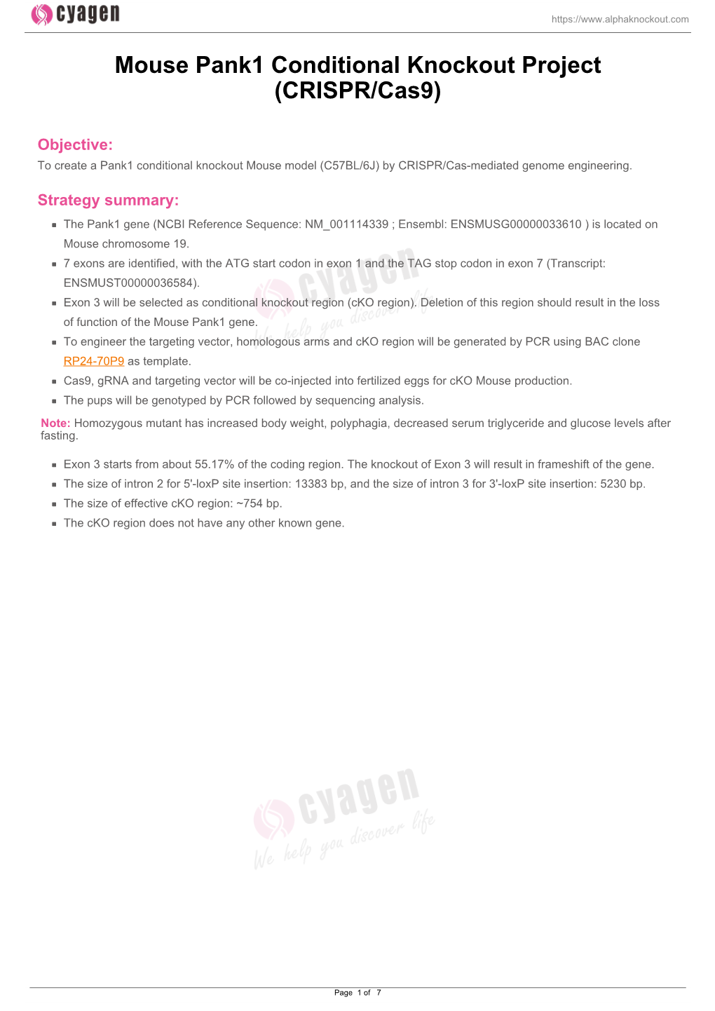 Mouse Pank1 Conditional Knockout Project (CRISPR/Cas9)