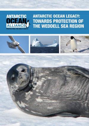 Towards Protection of the Weddell Sea Region Executive Summary