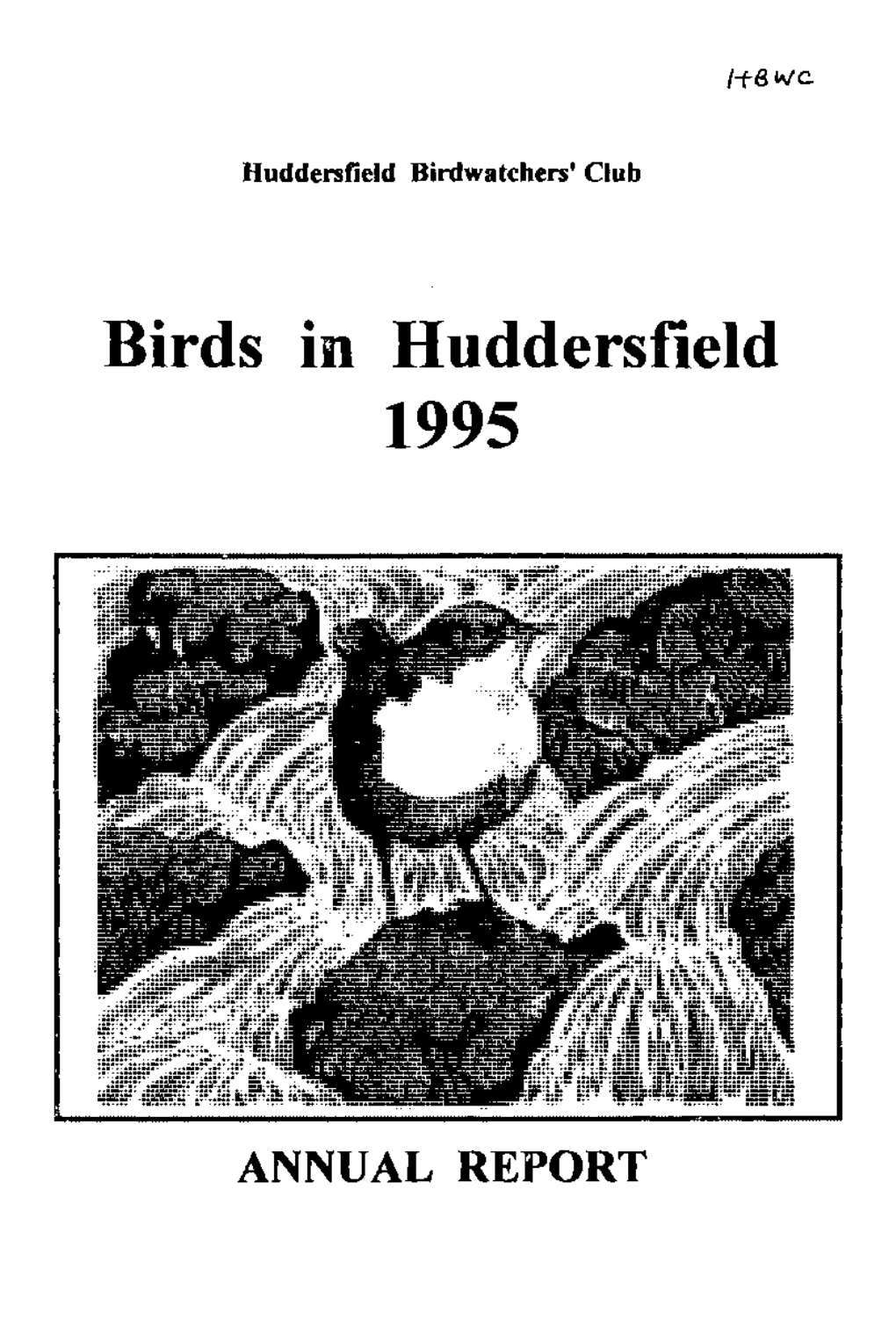 Birds in Huddersfield 1995