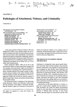 Pathologies of Attachment, Violence, and Criminality