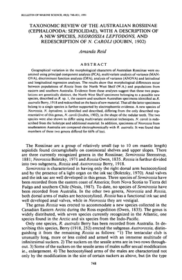 Taxonomic Review of the Australian Rossiinae (Cephalopoda: Sepiolidae), with a Description of a New Species, Neorossia Leptodons, and Redescription of N