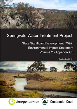 Springvale Water Treatment Project