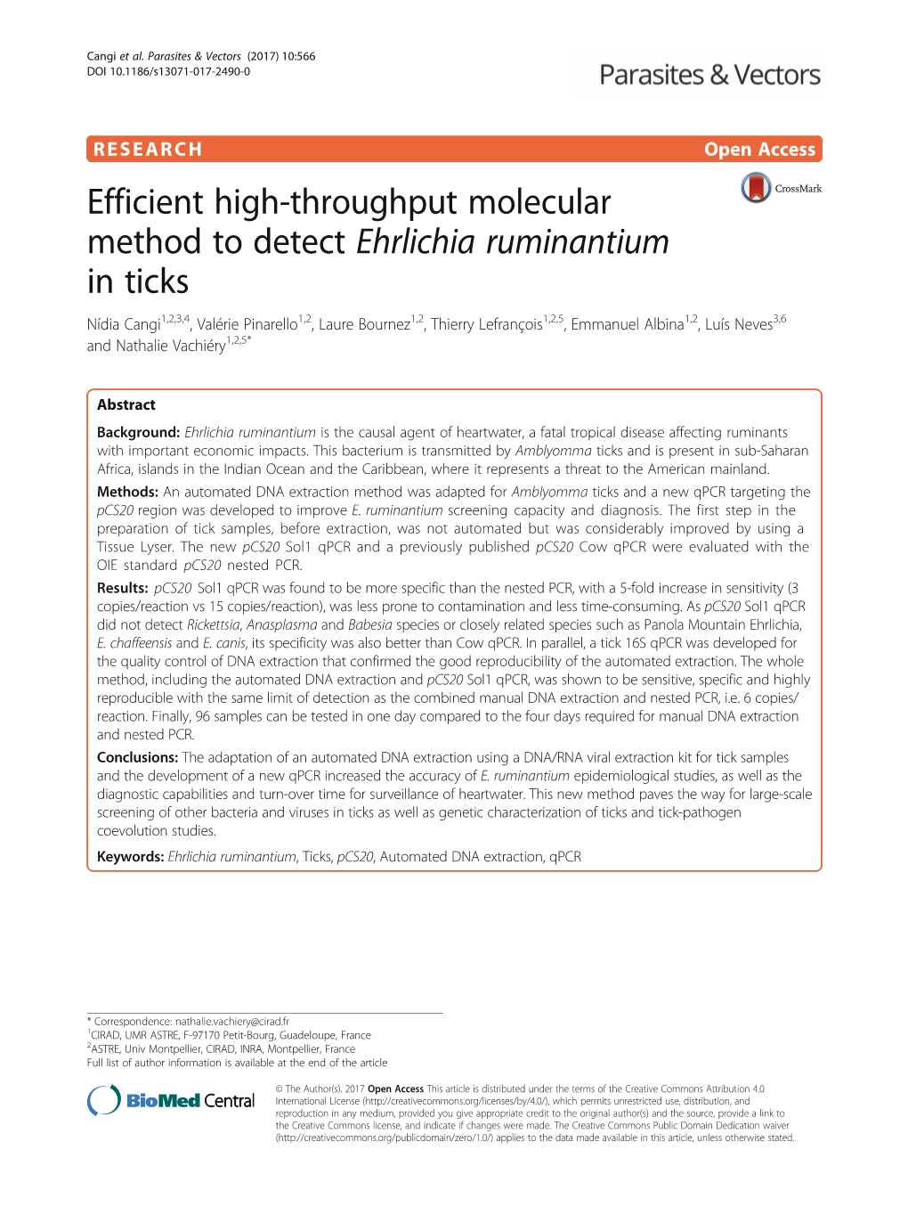 Efficient High-Throughput Molecular Method to Detect Ehrlichia