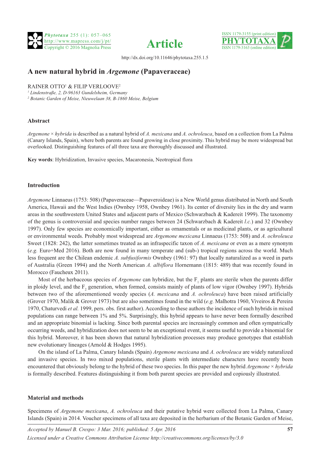 A New Natural Hybrid in Argemone (Papaveraceae)