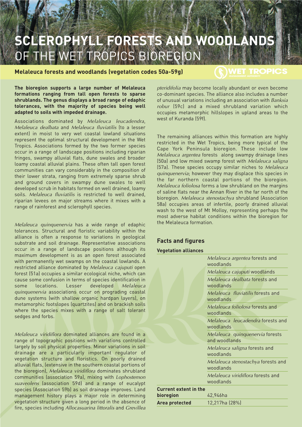 Sclerophyll Forests and Woodlands