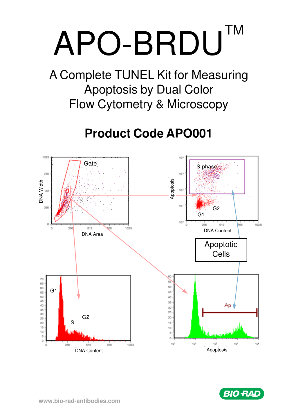 APO-BRDU TM a Complete TUNEL Kit for Measuring Apoptosis by Dual Color Flow Cytometry & Microscopy