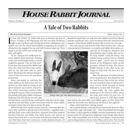 A Tale of Two Rabbits
