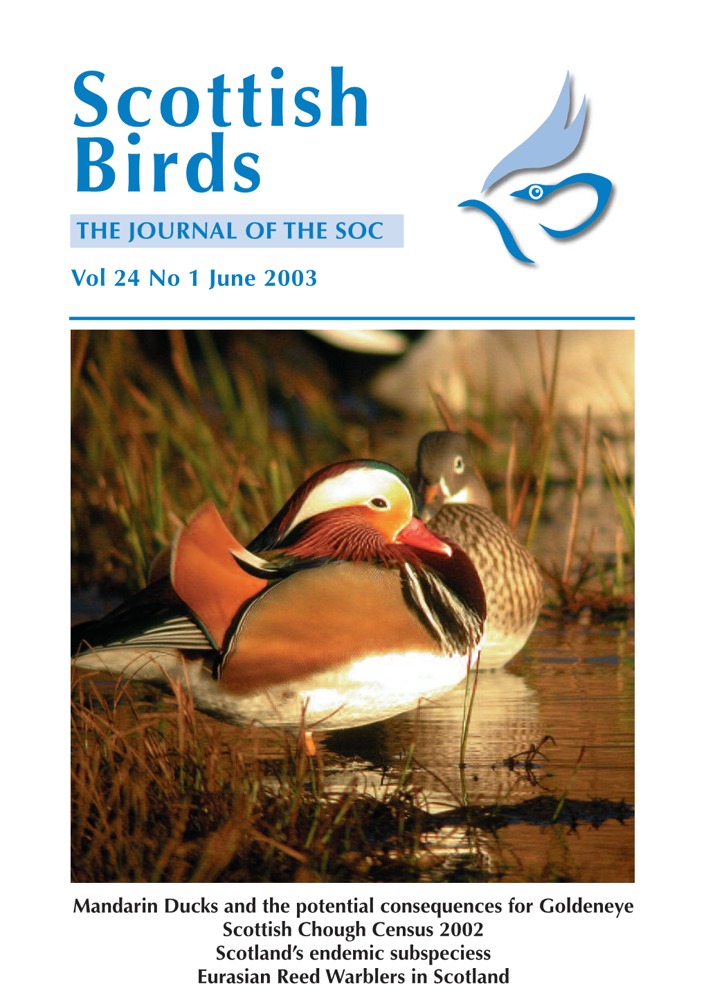 *Scottish Birds 24(1)