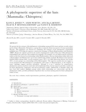 A Phylogenetic Supertree of the Bats (Mammalia: Chiroptera)