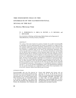 The Endocrine Cells in the Epithelium of the Gastrointestinal Mucosa of the Rat