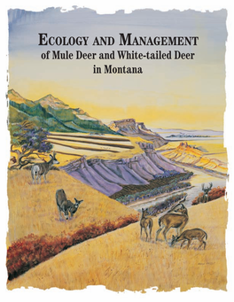 Ecology and Management of Mule Deer and White-Tailed Deer in Montana