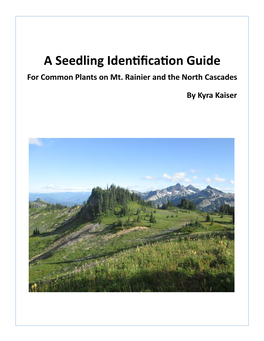 A Seedling Identification Guide for Common Plants on Mt