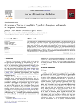 Occurrence of Nosema Oryzaephili in Cryptolestes Ferrugineus and Transfer to the Genus Paranosema