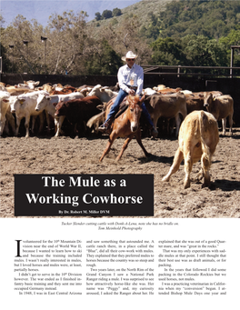 The Mule As a Working Cowhorse by Dr
