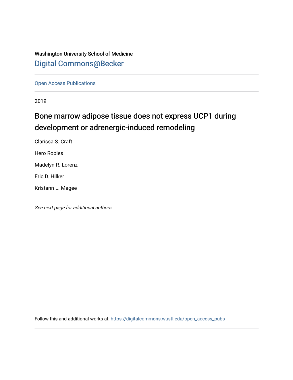 Bone Marrow Adipose Tissue Does Not Express UCP1 During Development Or Adrenergic-Induced Remodeling