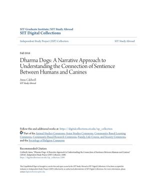 Dharma Dogs: a Narrative Approach to Understanding the Connection of Sentience Between Humans and Canines Anna Caldwell SIT Study Abroad