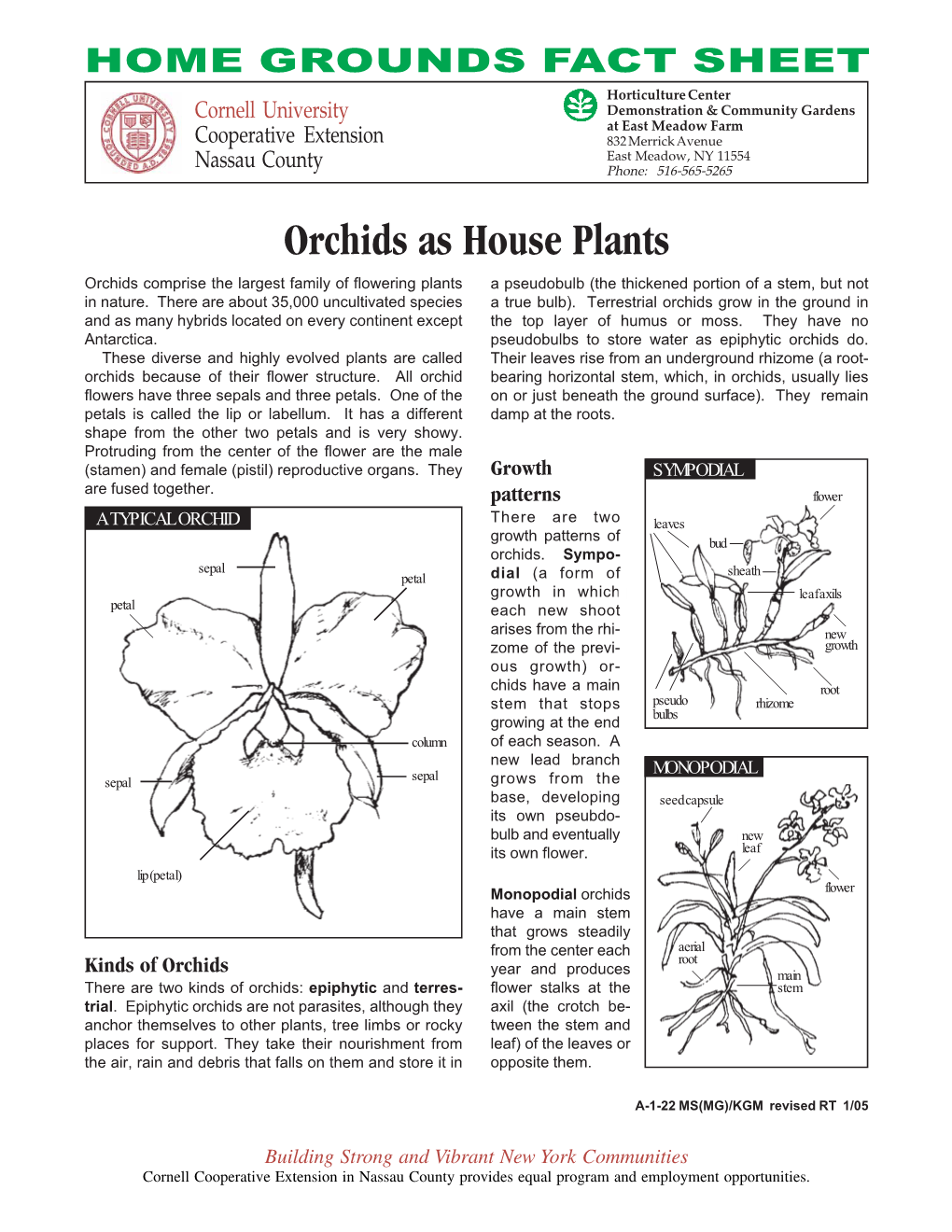 Orchids As House Plants Orchids Comprise the Largest Family of Flowering Plants a Pseudobulb (The Thickened Portion of a Stem, but Not in Nature