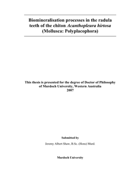 Biomineralisation Processes in the Radula Teeth of the Chiton Acanthopleura Hirtosa (Mollusca: Polyplacophora)