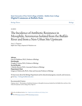 The Incidence of Antibiotic Resistance in Mesophilic Aeromonas Isolated from The