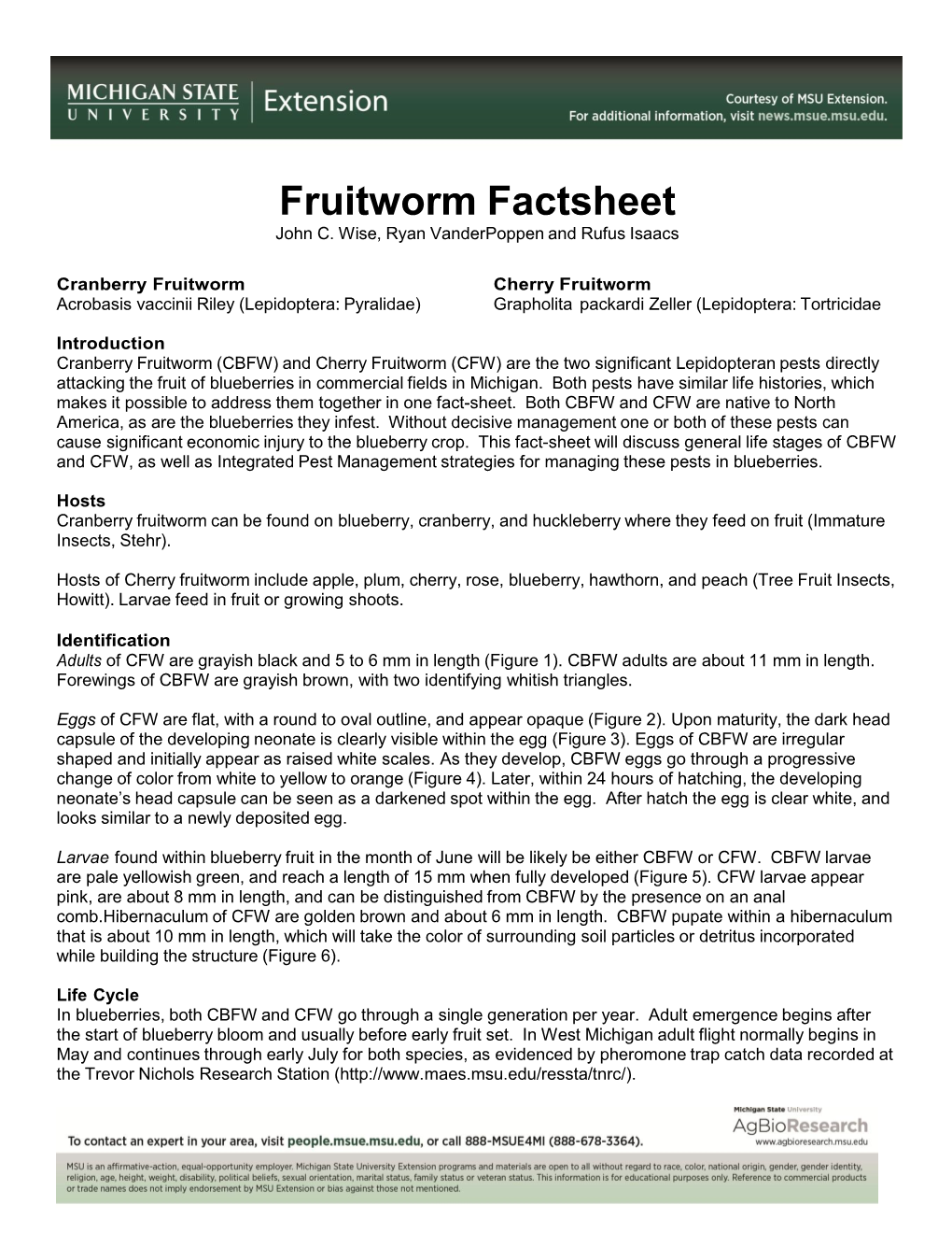 Blueberry Fruitworm Factsheet