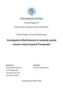 Investigation of Fluid Behavior in Randomly Packed Columns Using Computed Tomography