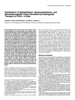 Distributions of Spinothalamic, Spinohypothalamic, and Spinotelencephalic Fibers Revealed by Anterograde Transport of PHA-L in Rats