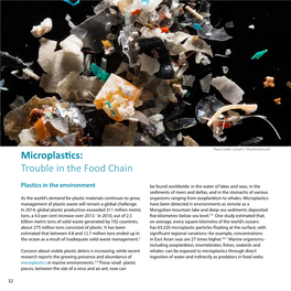 Microplastics: Trouble in the Food Chain