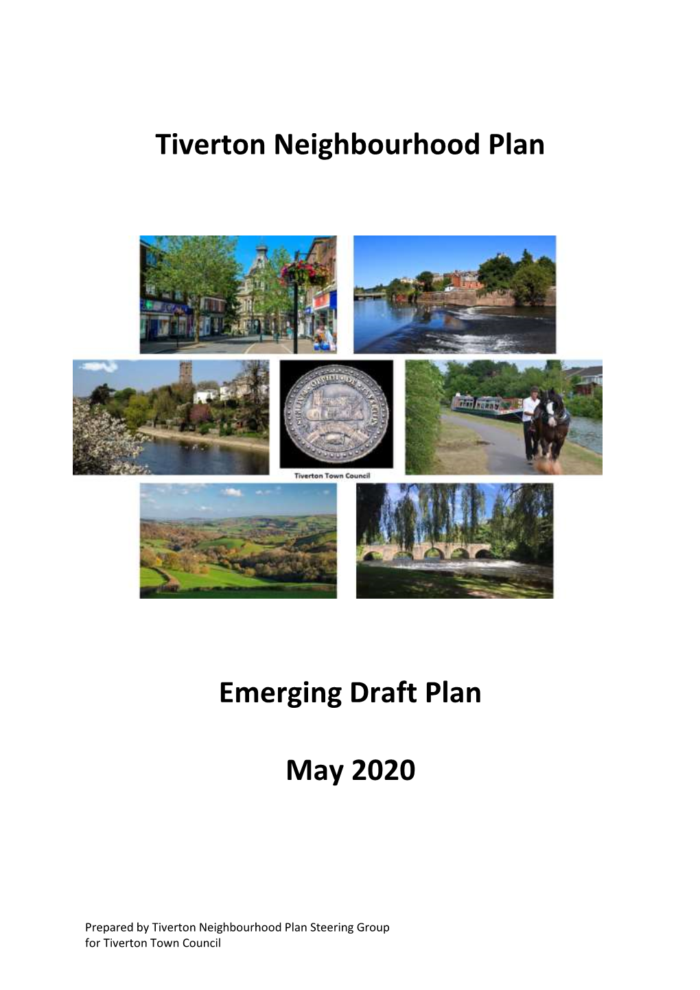 TNP-SG-Draft Plan-V20200603.Docx 1