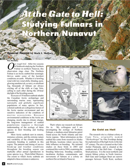 At the Gate to Hell: Studying Fulmars in Northern Nunavut