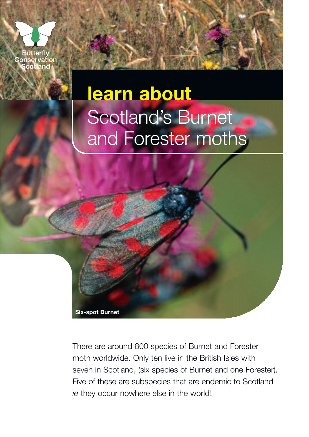 Learn About Scotland ’S Bu Rnet and Forester Moths
