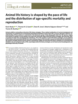 Animal Life History Is Shaped by the Pace of Life and the Distribution of Age-Specific Mortality and Reproduction