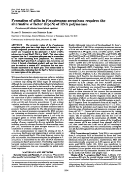 Formation of Pilin in Pseudomonas Aeruginosa Requires