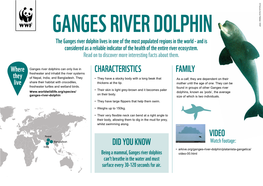 Ganges River Dolphin