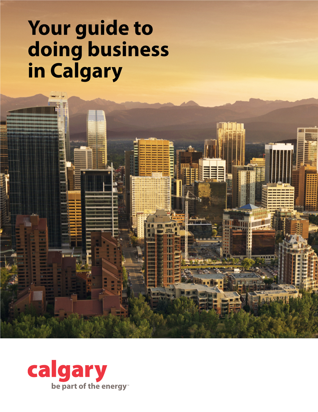Your Guide to Doing Business in Calgary