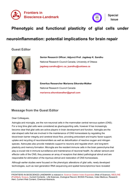 Phenotypic and Functional Plasticity of Glial Cells Under Neuroinflammation: Potential Implications for Brain Repair