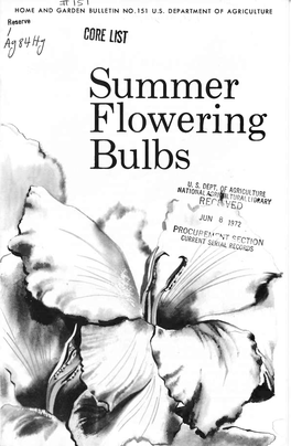 Summer Flowering Bulbs